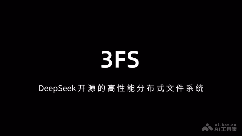 3FS