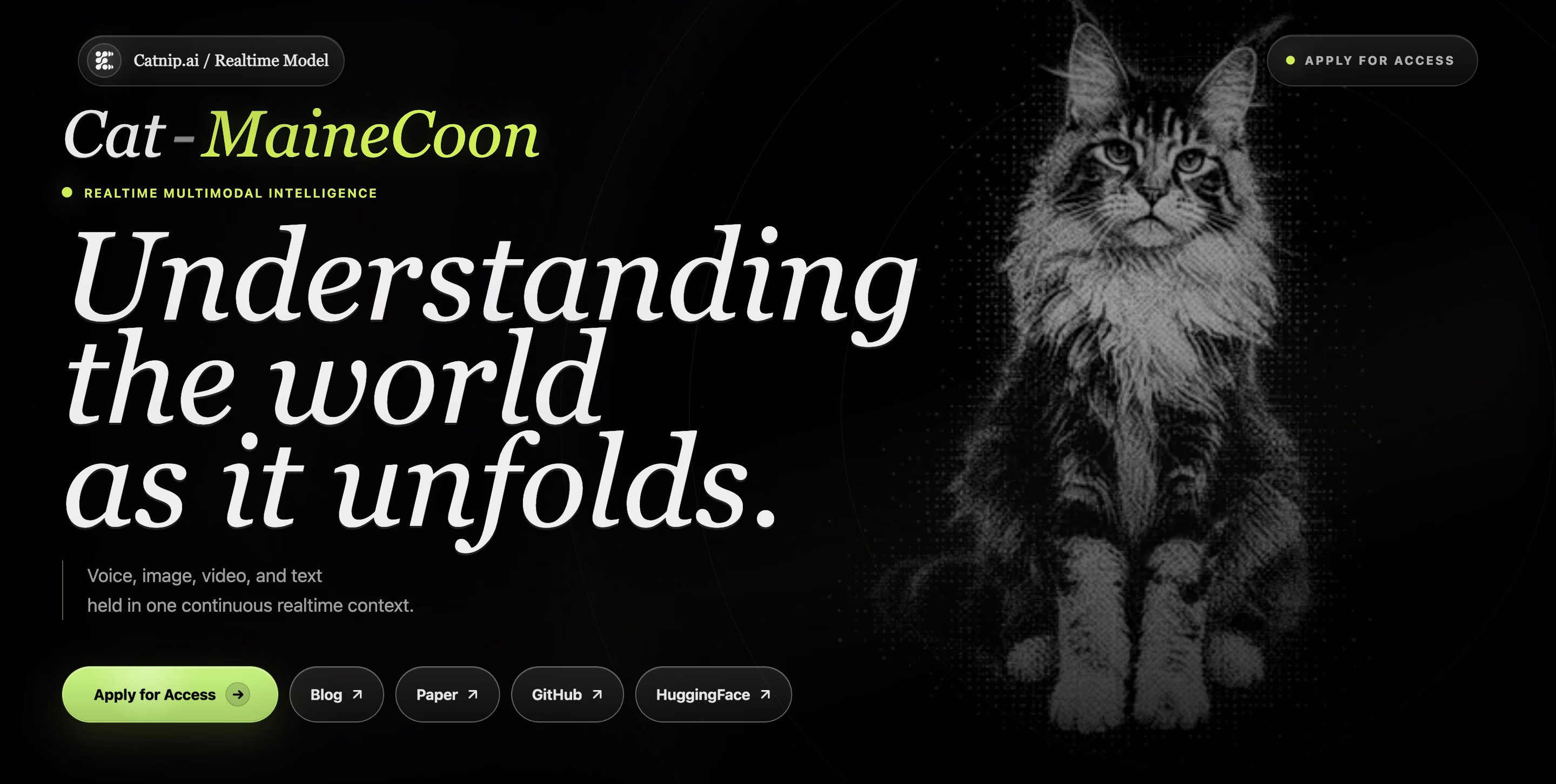 MaineCoon