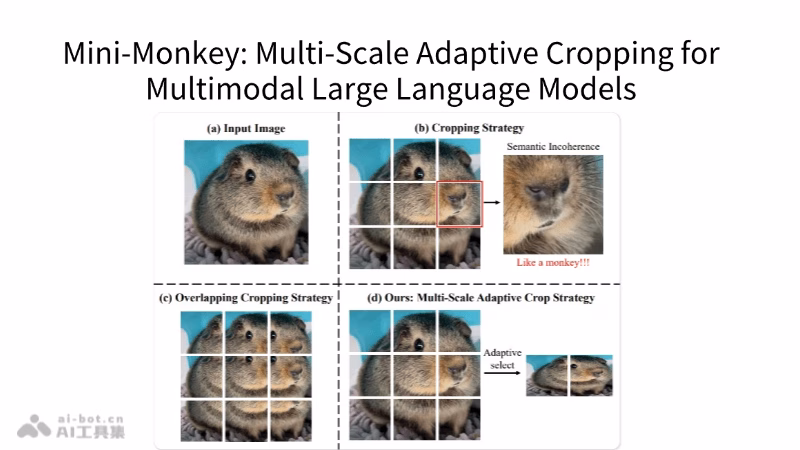 Mini-Monkey