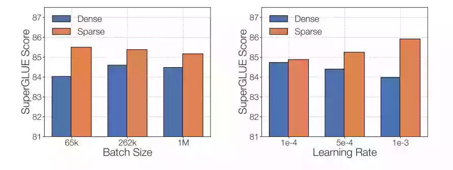 展示稠密与稀疏模型在微调时批量大小和学习率对比的表格。