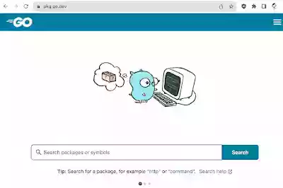 pkg.go.dev